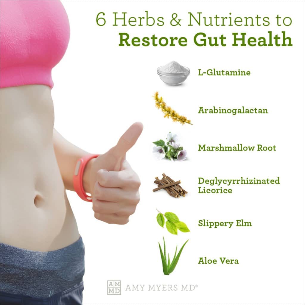 Gut health how improve naturally symptoms signs pranathrive help foods thrive unhealthy ultimate guide bacteria hurt or prana article