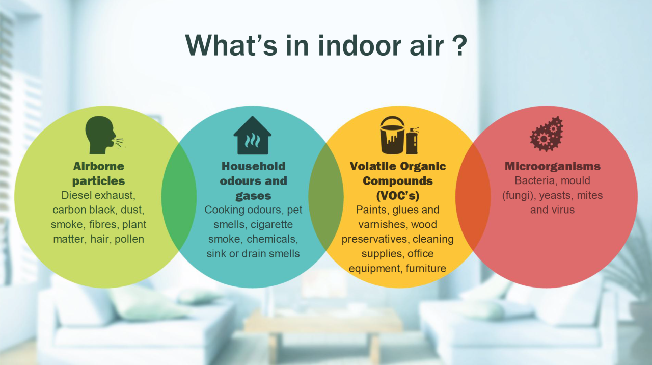 Indoor Air Quality Infographic