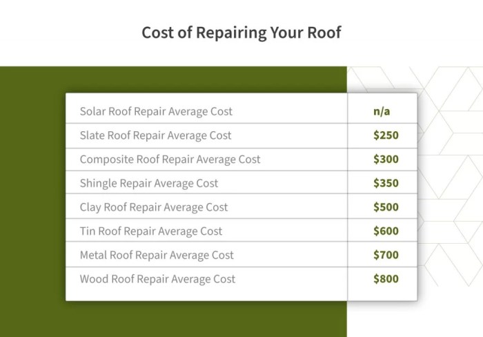Roof Repair Cost Guide (2024 Update) | Roof Maxx Learning Hub